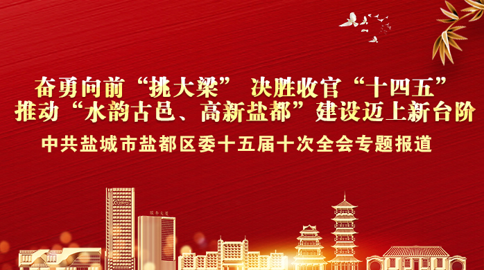 中共鹽城市鹽都區(qū)委十五屆十次全會專題報(bào)道